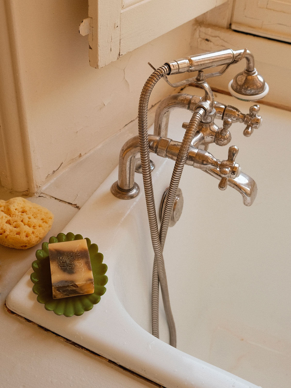 Porte-savon Coquille - Vert pin